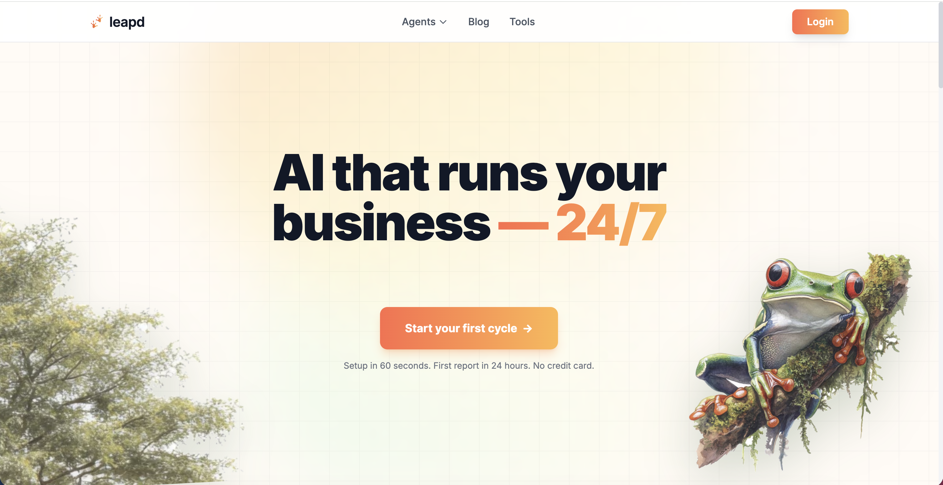 Leapd dashboard — daily report of ads, content, outreach, and AI visibility